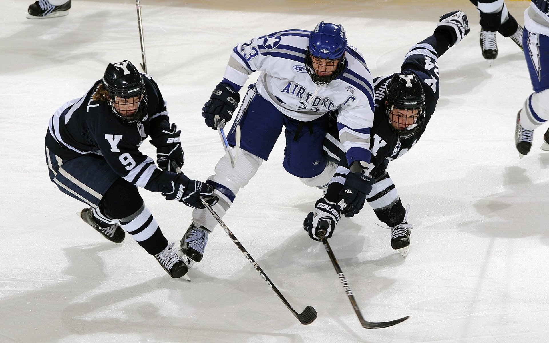 _掘金核心稳定发挥，士气高涨_，掘金龙头核心价值