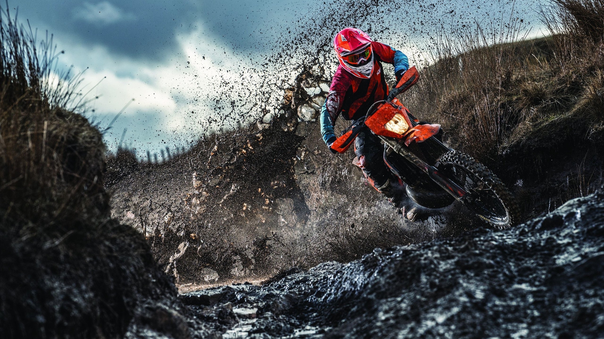 《电竞赛事的全场流媒体直播：极致视听盛宴》，电竞即时